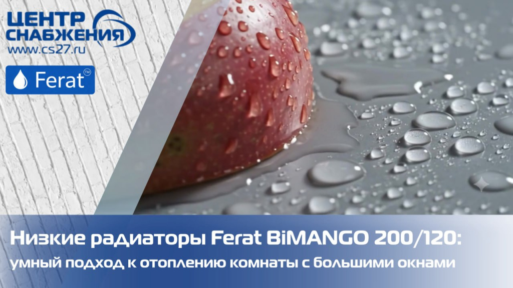 Низкие радиаторы Ferat BiMANGO 200/120: умный подход к отоплению комнаты с большими окнами Низкие радиаторы Ferat BiMANGO 200/120: умный подход к отоплению комнаты с большими окнами