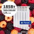 Радиаторы Ferat БиМАЛИН 500 х 100 картинка Радиаторы Ferat БиМАЛИН 500 х 100